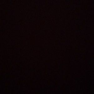 Meet your Posher, Janeth